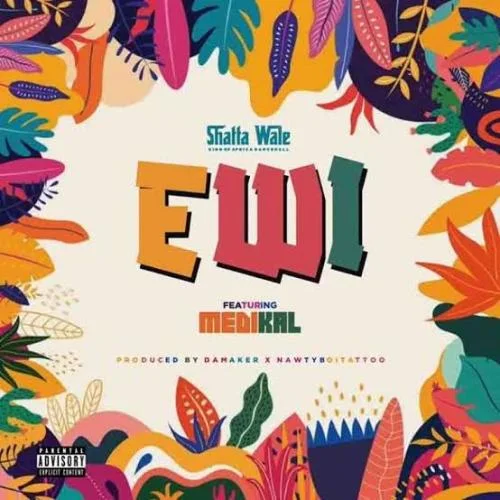Shatta Wale - Ewi - Thief