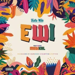 Shatta Wale - Ewi - Thief