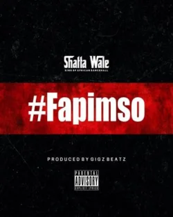 Shatta Wale - Fapimso
