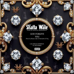 Shatta Wale - Forgive You
