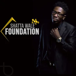 Shatta Wale - Dem A Pree (feat. Mavado)