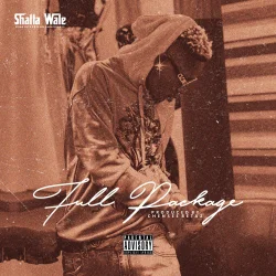 Shatta Wale - Full Package
