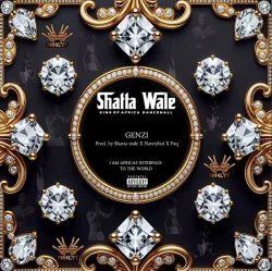 Shatta Wale - Genzi