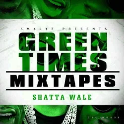 Shatta Wale - Halleluyah (I Am Da Future)