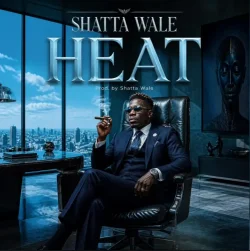 Shatta Wale - Heat