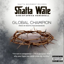 Shatta Wale - I No Taya
