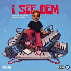 Shatta Wale - I See Dem