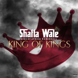 Shatta Wale - King Of Kings