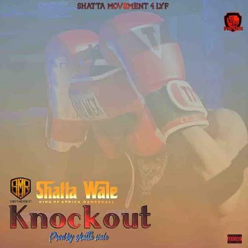Shatta Wale - Knockout