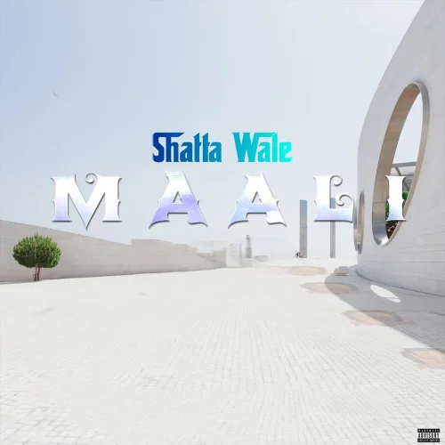 Shatta Wale - Richer Than Last Year