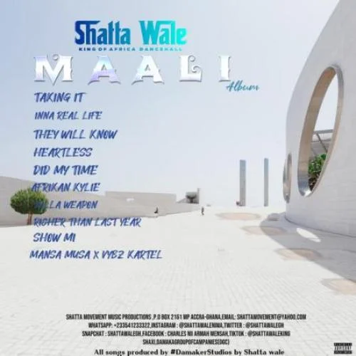 Shatta Wale - Heartless