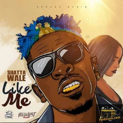 Shatta Wale - Man Like Me