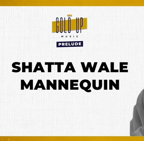 Shatta Wale - Mannequin (feat. Gold Up)