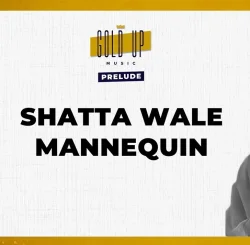 Shatta Wale - Mannequin (feat. Gold Up)