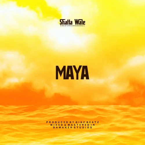 Shatta Wale - Maya