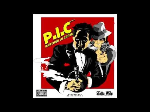 Shatta Wale - P.IC
