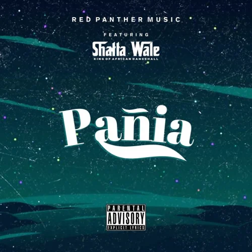 Shatta Wale - Panai