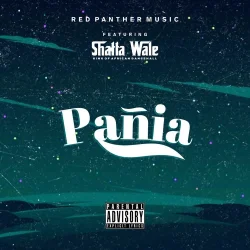 Shatta Wale - Panai