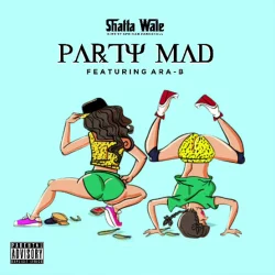 Shatta Wale - Party Mad (feat. Ara-B)