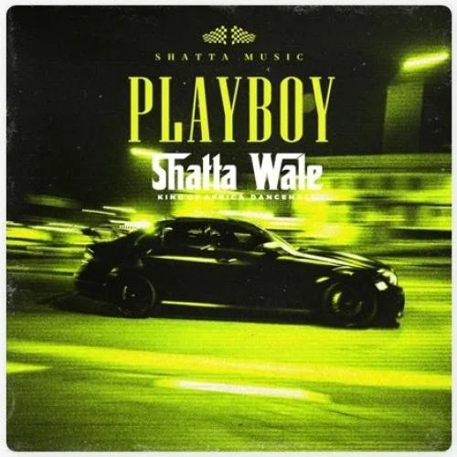 Shatta Wale - Playboy