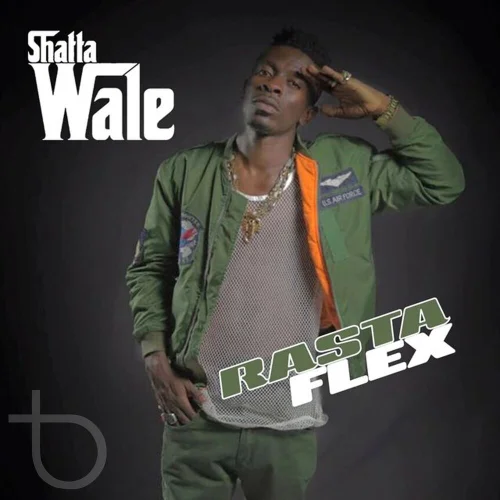 Shatta Wale - Outro