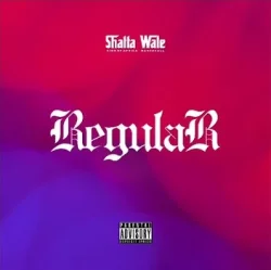 Shatta Wale - Regular