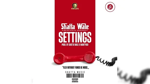 Shatta Wale - Settings