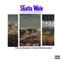 Shatta Wale - ShattaFest