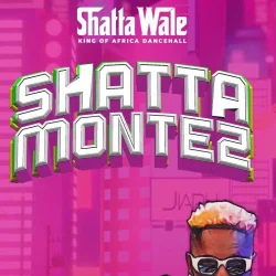 Shatta Wale - Shatta Montez