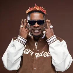 Shatta Wale - Shingbele