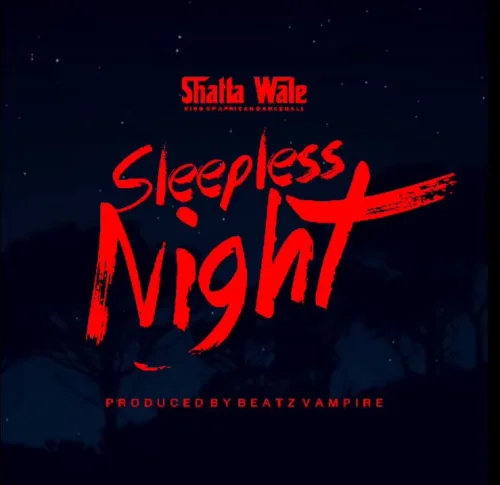 Shatta Wale - Sleepless Night