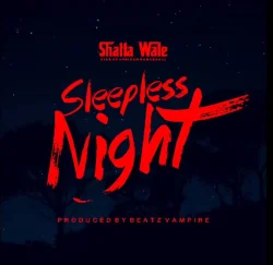 Shatta Wale - Sleepless Night