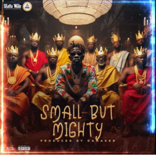 Shatta Wale - Small But Mighty