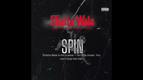 Shatta Wale - Spin