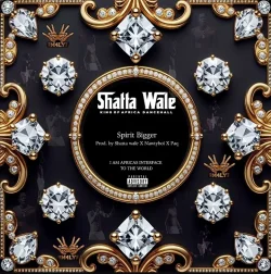 Shatta Wale - Spirit Bigger