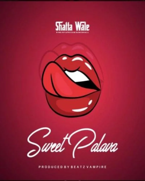 Shatta Wale - Sweet Palava