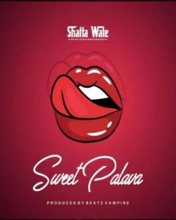 Shatta Wale - Sweet Palava