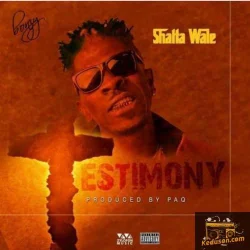 Shatta Wale - Testimony