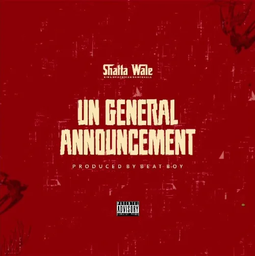 Shatta Wale - UN Announcement 2