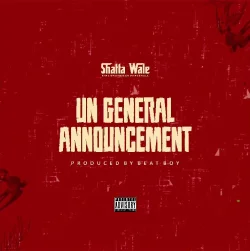 Shatta Wale - UN Announcement 2