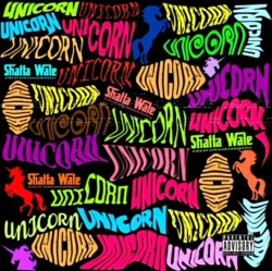 Shatta Wale - Unicorn