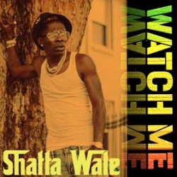 Shatta Wale - Watch Me
