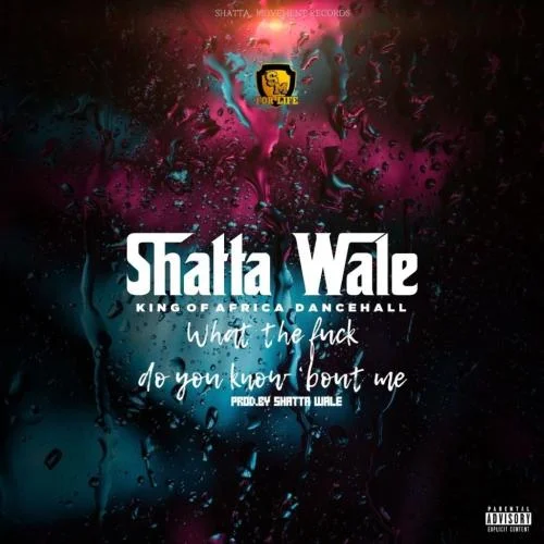 Shatta Wale - What Do You Know About Me
