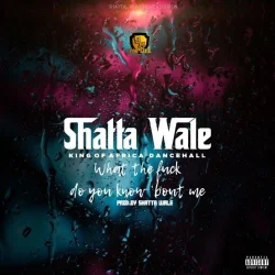 Shatta Wale - What Do You Know About Me