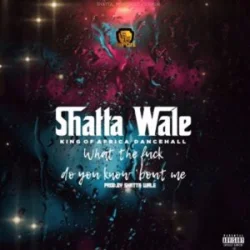 Shatta Wale - What The Fuck Do You Bout Me Via