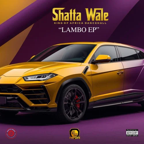 Shatta Wale - When We Deh Come