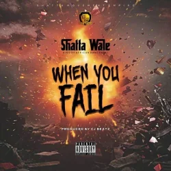 Shatta Wale - When You Fail