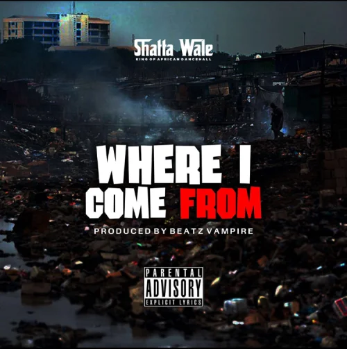 Shatta Wale - Where I Come From