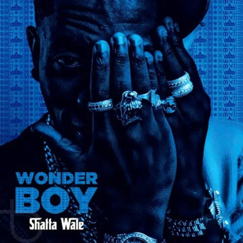 Shatta Wale - Be Afraid