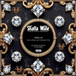Shatta Wale - Yawa Ni